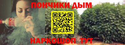 спайс Гагарин