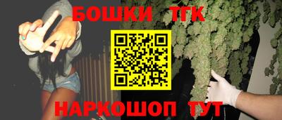спайс Гагарин