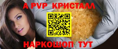 эйфоретик Гатчина