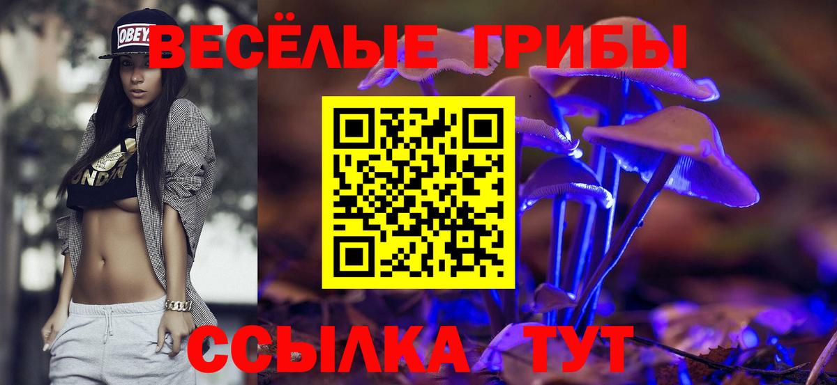 Псилоцибиновые грибы MAGIC MUSHROOMS Междуреченск