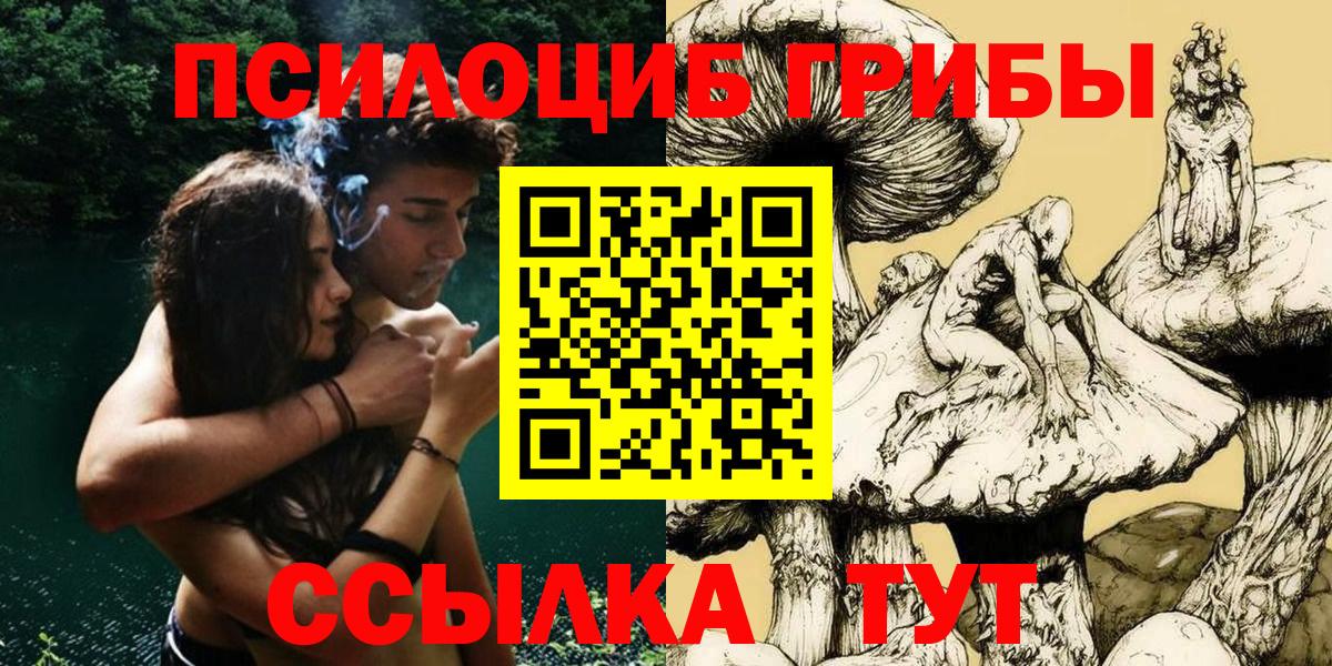 Междуреченск  Галлюциногенные грибы прущие грибы  сколько стоит  Вход с VPN  Галлюциногенные грибы Psilocybine cubensis 